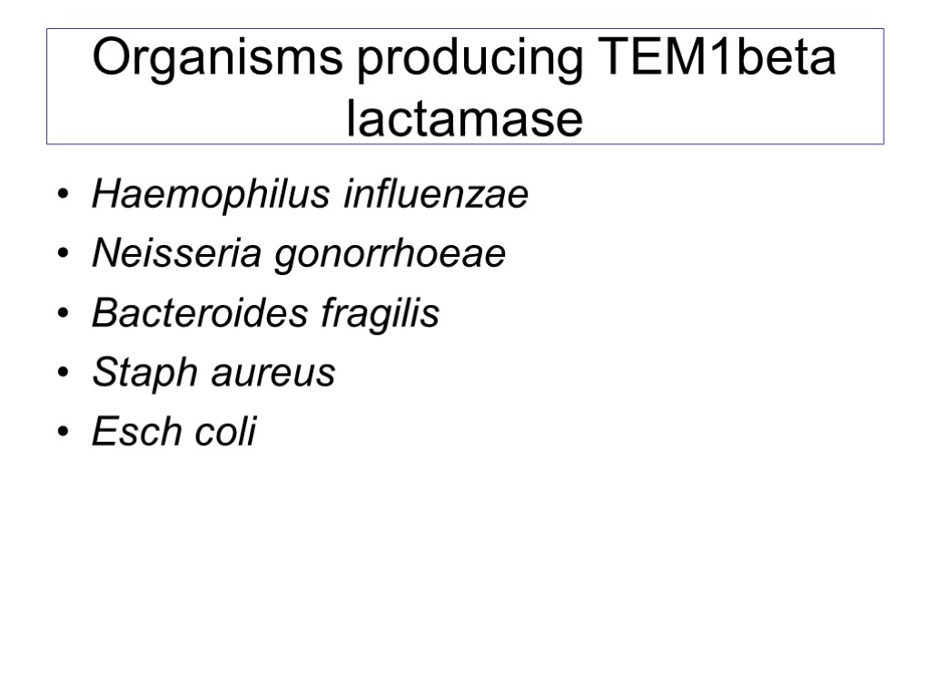 Organisms producing TEM1beta lactamase Haemophilus influenzae Neisseria gonorrhoeae Bacteroides fragilis Staph aureus Esch coli